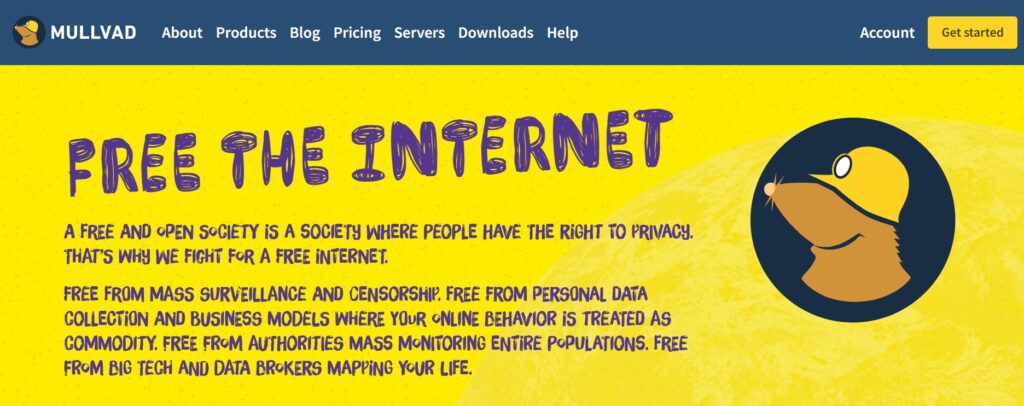 VPN for china