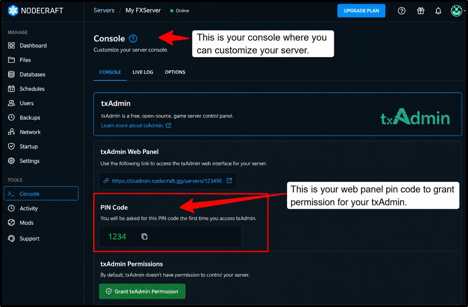 Look-for-the-txAdmin-web-panel-link-and-a-pin-code-and-grant-txAdmin-the-permission.