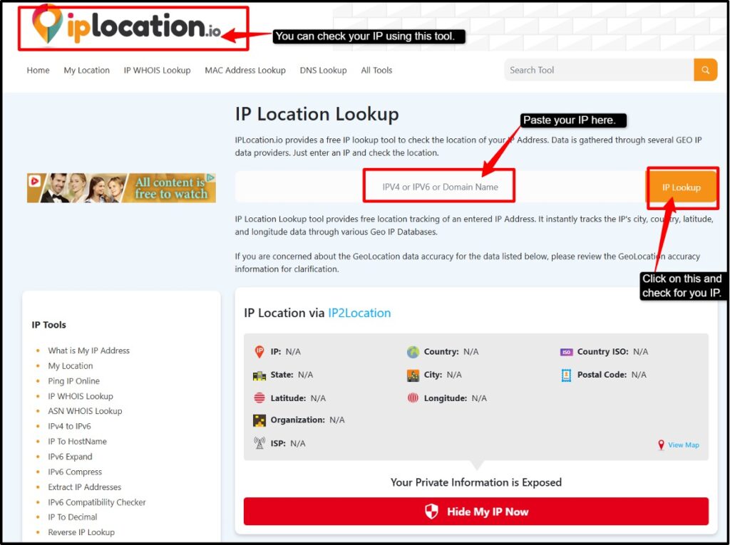 Best-RDP-with-Dedicated-IP-for-IP-check-use-IP-tools
